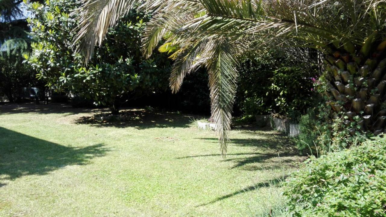 Appartamento Giardino Sugli Ulivi Riva del Garda Buitenkant foto