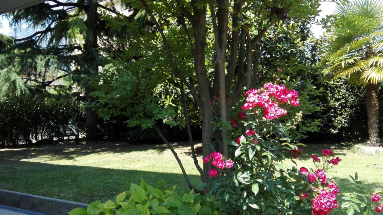 Appartamento Giardino Sugli Ulivi Riva del Garda Buitenkant foto