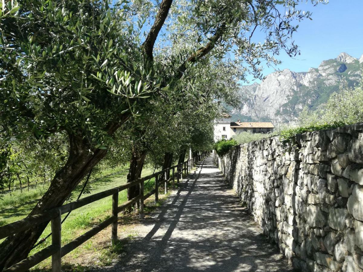 Appartamento Giardino Sugli Ulivi Riva del Garda Buitenkant foto